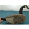 Image 3 : Chesapeak Bay Area Canadian Goose Decoy