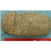 Image 3 : A Huge 10 1/2" 3/4 Groove Stone Ax Head