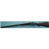 Image 8 : Bonehill 12 ga. Dbl. Bbl.