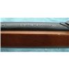 Image 3 : Winchester Model 190 22 cal. w/scope