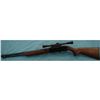 Image 4 : Winchester Model 190 22 cal. w/scope