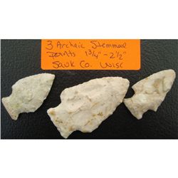 3 Archaic Stemmed Points Sauk Co. Wisc.