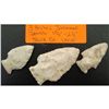 Image 1 : 3 Archaic Stemmed Points Sauk Co. Wisc.