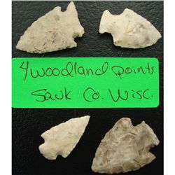 4 Woodland Points Sauk Co. Wisc.