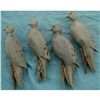 Image 2 : 4 Hand Carved Morning Dove Decoys