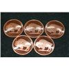 Image 1 : 2011 Buffalo Copper Round, .999 Fine 1 Oz., lot of 5