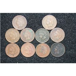 Indian Head Penny, various dates & conditions, lot of 10
