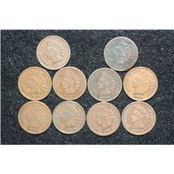 Indian Head Penny, various dates & conditions, lot of 10