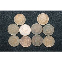 Indian Head Penny, various dates & conditions, lot of 10