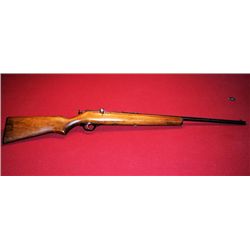 22 Cal. Sears-Roebuck rifle