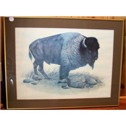 Framed Picture Buffalo, by R Dorman