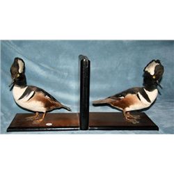Hooded Merganser Duck Bookends