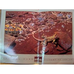 Poster Arts for the Park - CHACO 1991