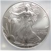 Image 2 : 1996 Silver Eagle  ICG69