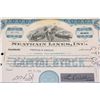 Image 1 : Seatrain Lines, Inc. Stock Certificate dated 1960