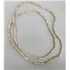 Image 1 : Prehistoric Shell Bead Necklace