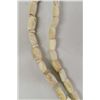 Image 2 : Prehistoric Shell Bead Necklace
