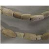 Image 3 : Prehistoric Shell Bead Necklace