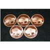 Image 1 : 2011 Buffalo Copper Round, .999 Fine 1 Oz., lot of 5