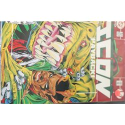 1993 DC Comics; Icon Payback Edition