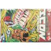 Image 1 : 1993 DC Comics; Icon Payback Edition
