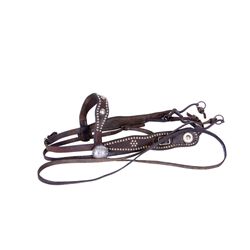 Buckaroo Bridle