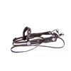 Image 1 : Buckaroo Bridle