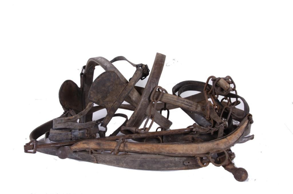 Collection of Vintage Horse Tack