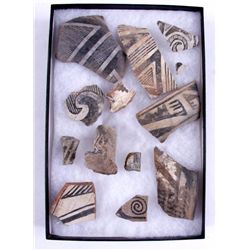 11 Anasazi Shards in Riker Mount