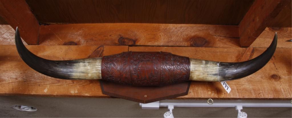 Bull Horn Wall Hanging with Ornate Leather Work