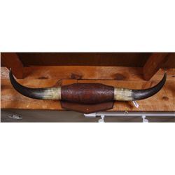 Bull Horn Wall Hanging with Ornate Leather Work