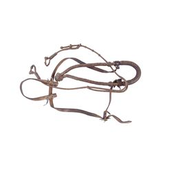 Rawhide Mexican Bozel with Head Stall