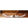 Image 1 : Large 70" Spread Bull Horns