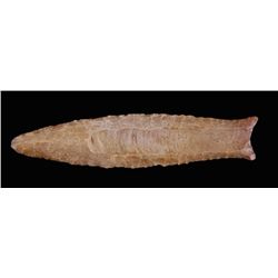 Ancient Arrow Point from Cumberland Blue River, KY