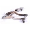 Image 1 : Contempary Show Fancy Spurs