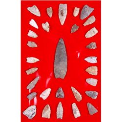 Collection of 30 Early Arrow Points in Riker Mount