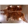 Image 1 : Large Brown Steer Hide
