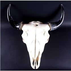 Bull Skull Wall Hanging