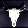 Image 1 : Bull Skull Wall Hanging