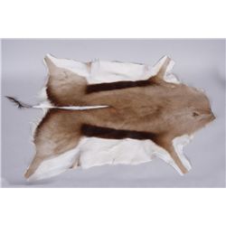 Antelope Pelt