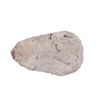 Image 1 : Hokia Spade From E St Louis, IL