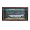 Image 1 : Hand Carved Salmon in Shadowbox