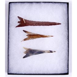 Collection of Framed Arrow Points