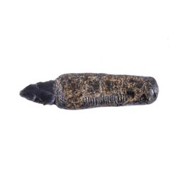 Piaute Primitive Knife with Obsidian Point