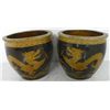 Image 1 : Pair Chinese planters with "Dragons"