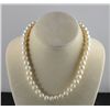 Image 2 : 2 pearl necklaces