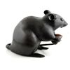 Image 1 : Japanese bronze "Rat" signed