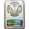 Image 3 : 1880S Morgan $ NGC66 star  FROSTY WHITE  A BEAUTY