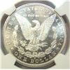 Image 4 : 1880S Morgan $ NGC66 star  FROSTY WHITE  A BEAUTY