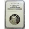 Image 1 : 2009W $100  Platinum Eagle